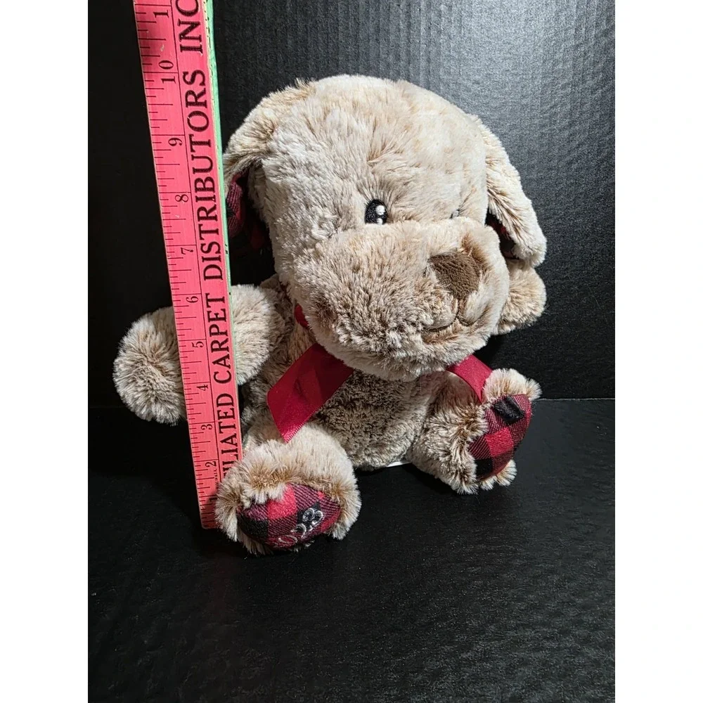 Petsmart Dog Chance 11